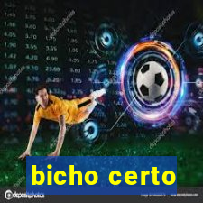 bicho certo